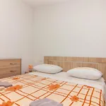 Conte Cikara * Saricevi