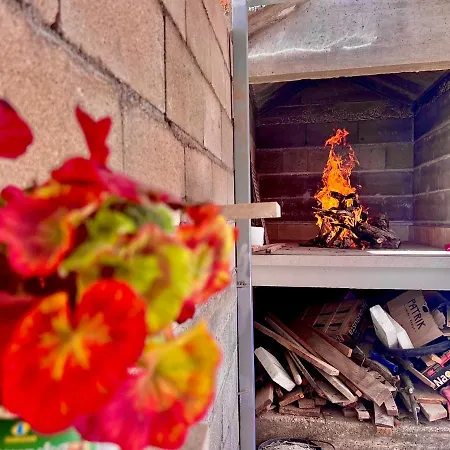 Conte čikara * Saricevi