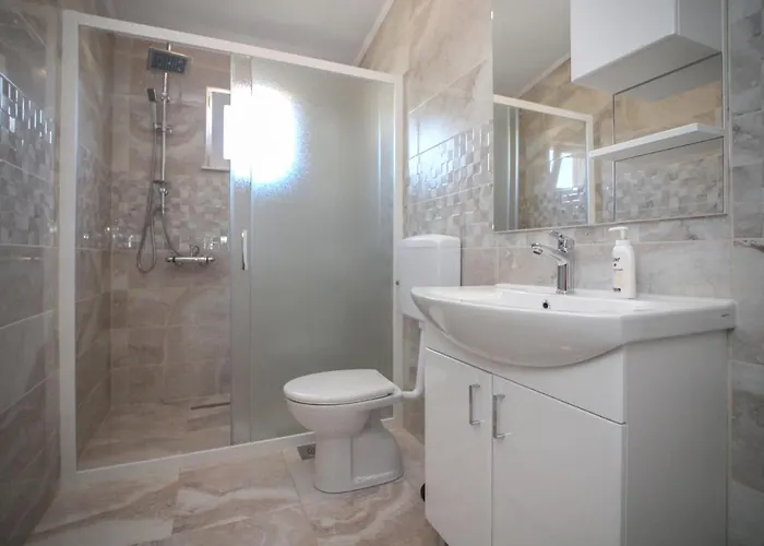 Conte čikara * Saricevi