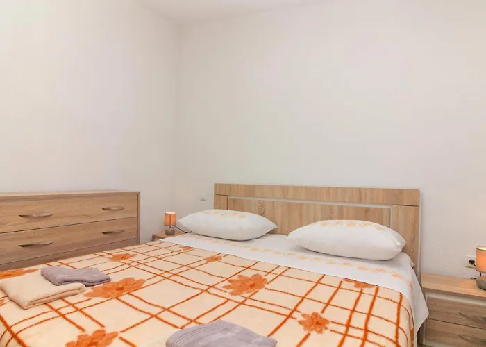 Conte čikara * Saricevi