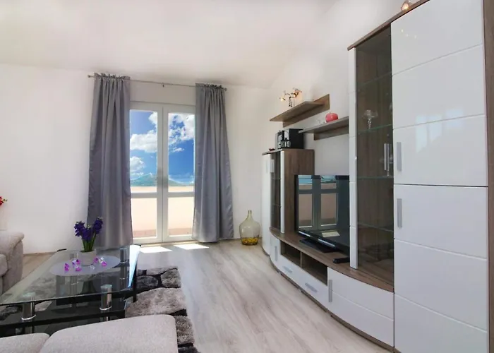 Conte čikara Saricevi