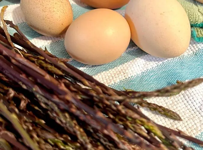 Appartement Conte čikara Saricevi