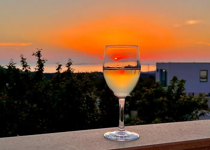 Conte čikara Saricevi