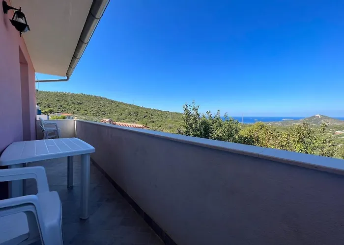 Conte čikara * Saricevi