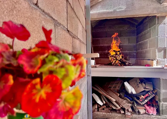 Conte čikara * Saricevi